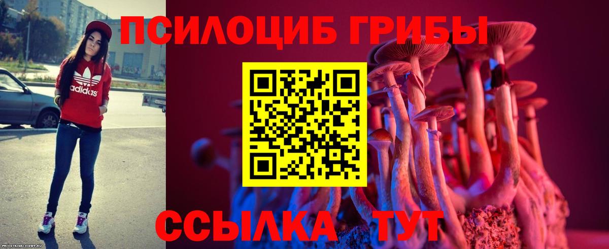 Псилоцибиновые грибы Cubensis Кызыл